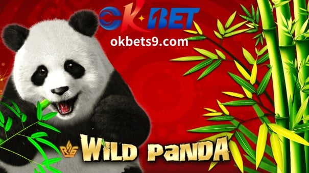 Paano manalo ng royal Wild Panda slot game, maaari kang maglaro ng Royal slot game demo nang libre sa OKBET.